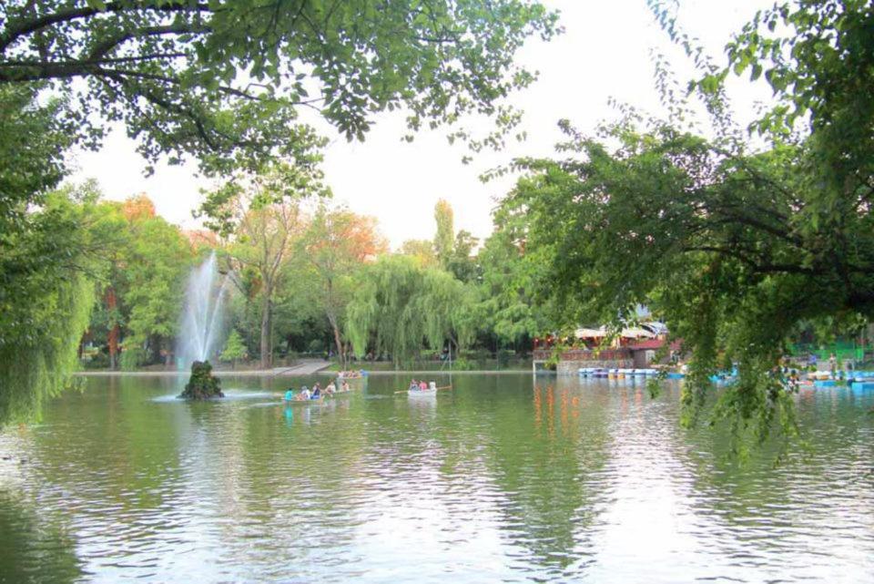דירה Park View *